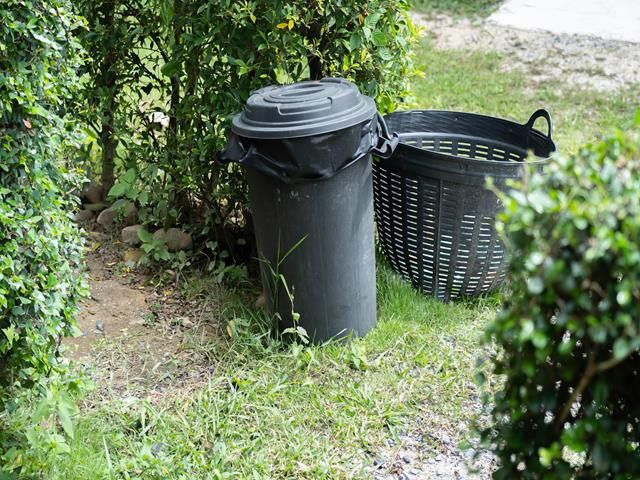 images/garden-clearance/slider/garden-waste-removal (4)-kireth-ai.jpeg